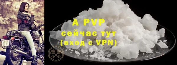 ECSTASY Бородино