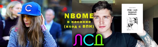 бошки Бронницы