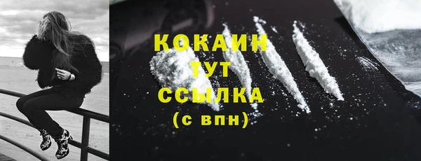 ECSTASY Бородино