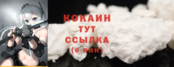 ECSTASY Бородино