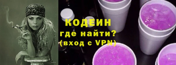 ECSTASY Бородино