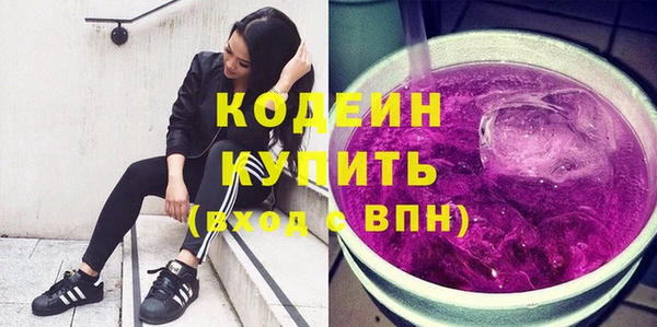 ECSTASY Бородино