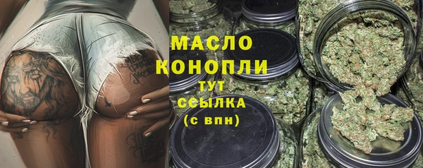 ECSTASY Бородино