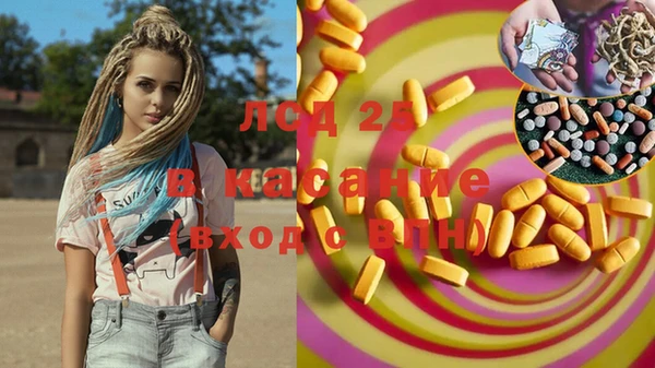 ECSTASY Бородино