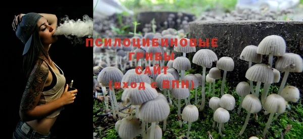 бошки Бронницы