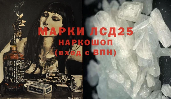ECSTASY Бородино