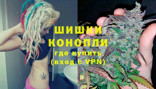 ECSTASY Бородино