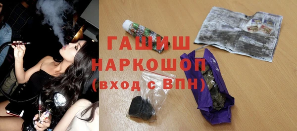 ECSTASY Бородино