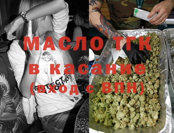 ECSTASY Бородино