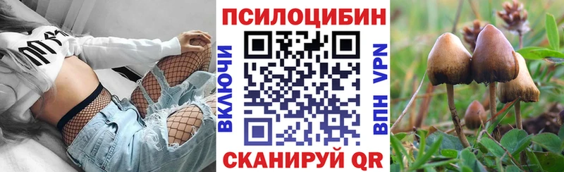 Псилоцибиновые грибы Psilocybine cubensis  Ростов 